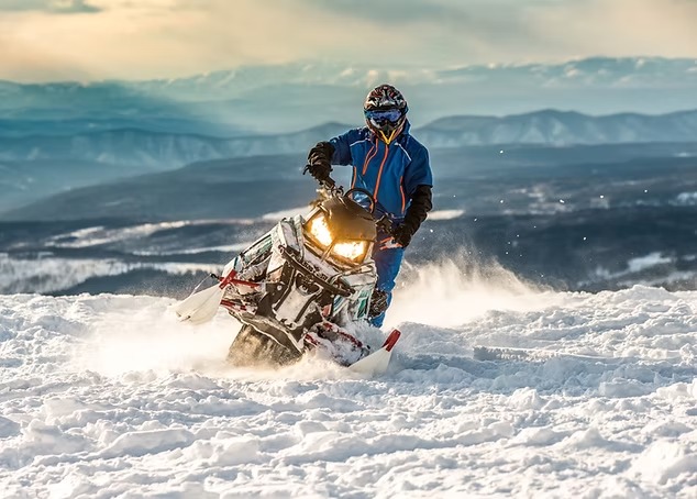 AMSOIL Synthetic 2-Stroke Oil